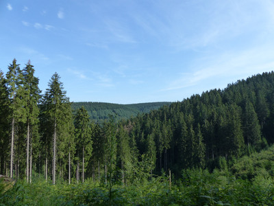 Blick Richtung Iberg
