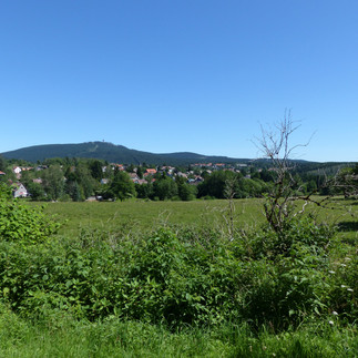 Blick auf Braunlage