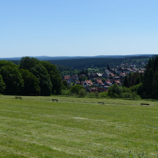 Blick über Braunlage in den Unterharz