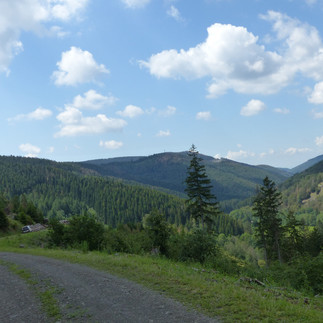 Aussicht ins Odertal