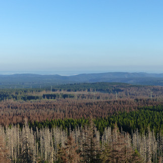 Blick von der Achtermannshöhe über die südlichen Berglagen