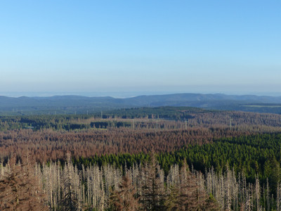 Blick von der Achtermannshöhe über die südlichen Berglagen
