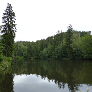 Neuer Teich - idyllisch ruhig gelgen