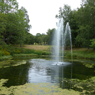 Kurpark in Hohegeiß
