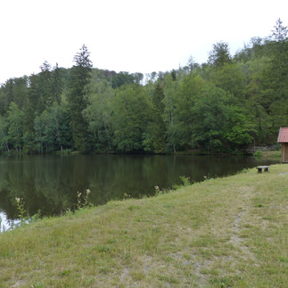 Neuer Teich - idyllisch ruhig gelgen