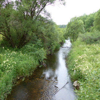Die warme Bode bei Sorge