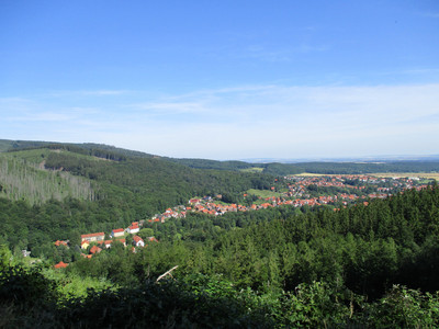 View over Ilsenburg