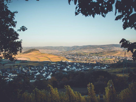 Monzel and the Moselle Valley