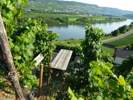 Schöne Rast mit Blick auf die Mosel