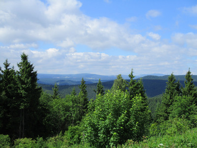 Aussicht vom Ravensberg zum Brocken