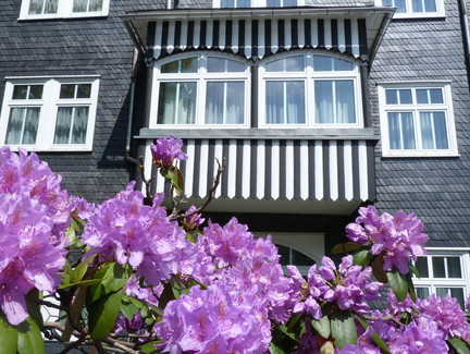 Boutique Hotel Schieferhof Neuhaus am Rennweg | Außenansicht