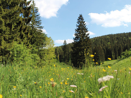 Wandern in Coburg.Rennsteig