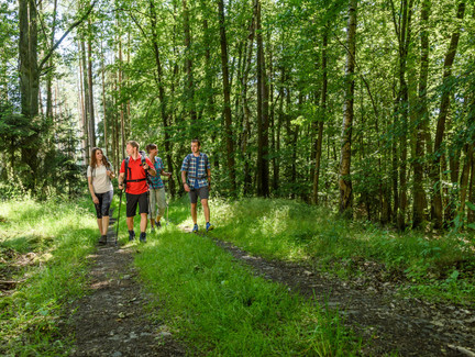 Wandern in Coburg.Rennsteig