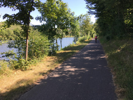 Der Mosel-Radweg bei Temmels
