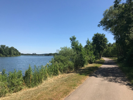 Auf dem Mosel-Radweg vor Konz