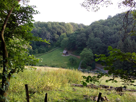 Lichtung im Tiefenbachtal