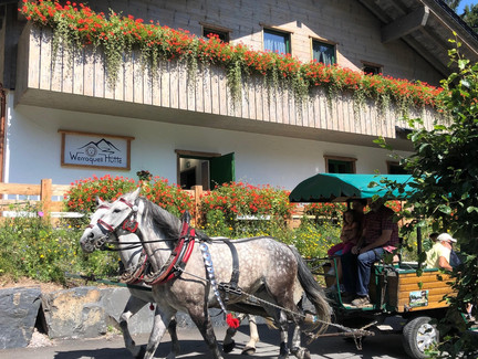 Pferdekutsche an der Werraquell Hütte