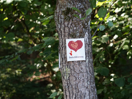 Beschilderung am Wegesrand