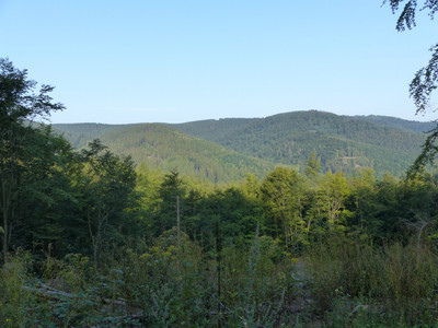 Blick im Bereich der Roten Klippen auf die Harzer Wälder