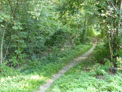 Trail an der Innerste