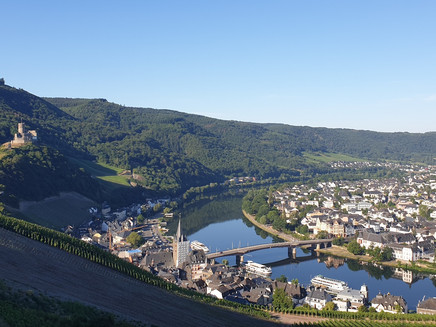 Ausblick auf die Stadt un den Mosellauf
