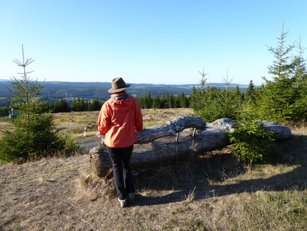 Schöne Aussicht und Rastplatz auf dem Weg zur Aussichtsplattform
