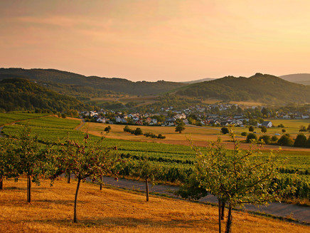 Goldene Herbststimmung im Konzer Tälchen