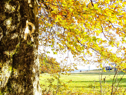 Rennsteig Herbst