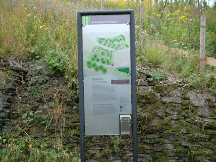 Informationstafel im Sortengarten