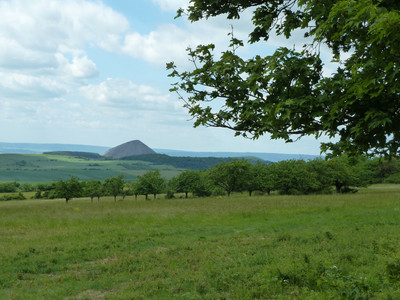 Gypsum karst landscape near Pölsfeld