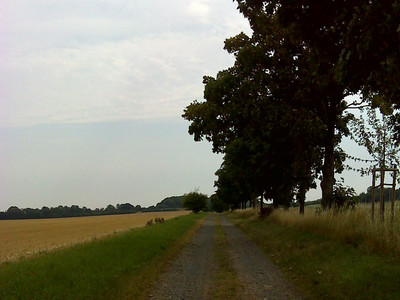 Circular hiking route Quedlinburg