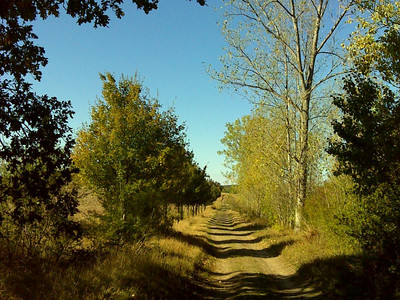 Route to the Steinholzwarte