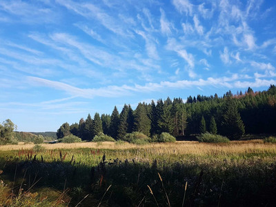 Circular route around the Königshütter Reservoir