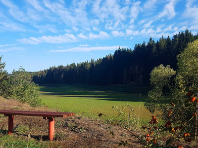 Circular route around the Königshütte reservoir
