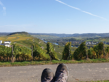 View from the quiet island