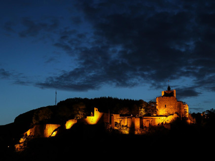 Burganlage Saarburg (6)