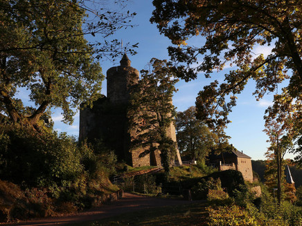 Burganlage Saarburg (7)
