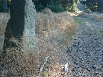 Wappenstein am Rennsteig