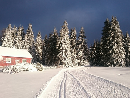 Loipe um den Saarberg