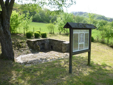 Celtic-Roman excavation above Kinheim-Kindel