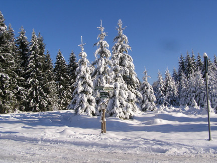 Thüringer Wald im Winter