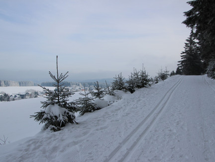 Skiwanderweg Dürre Fichte