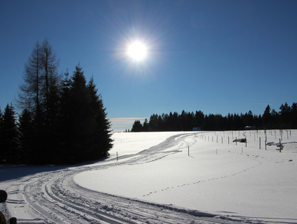 Skiwanderweg in Steinheid
