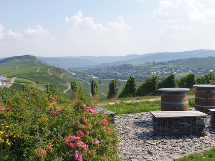 Tranquil spot near Monzel with magnificent views