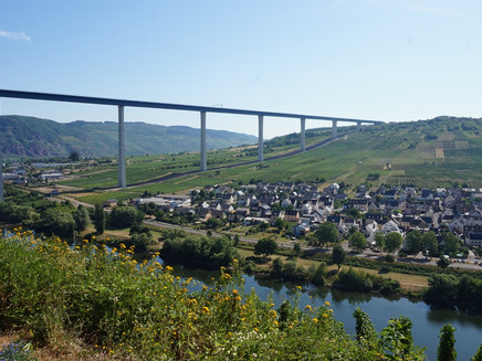 Hochmoselbrücke bei Zeltingen-Rachtig