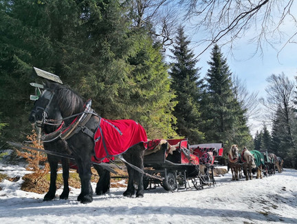Glühweinhalt in Weismannsheil