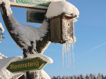 Rennsteig im Winter