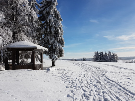 Schutzhütte Kieferle