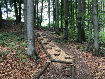 Barfußweg Masserberg