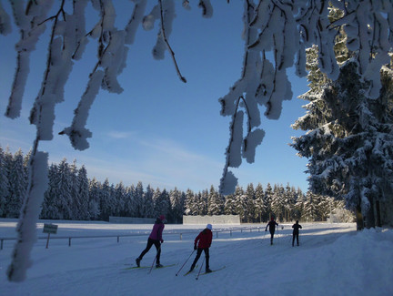 Sportler beim Langlauf